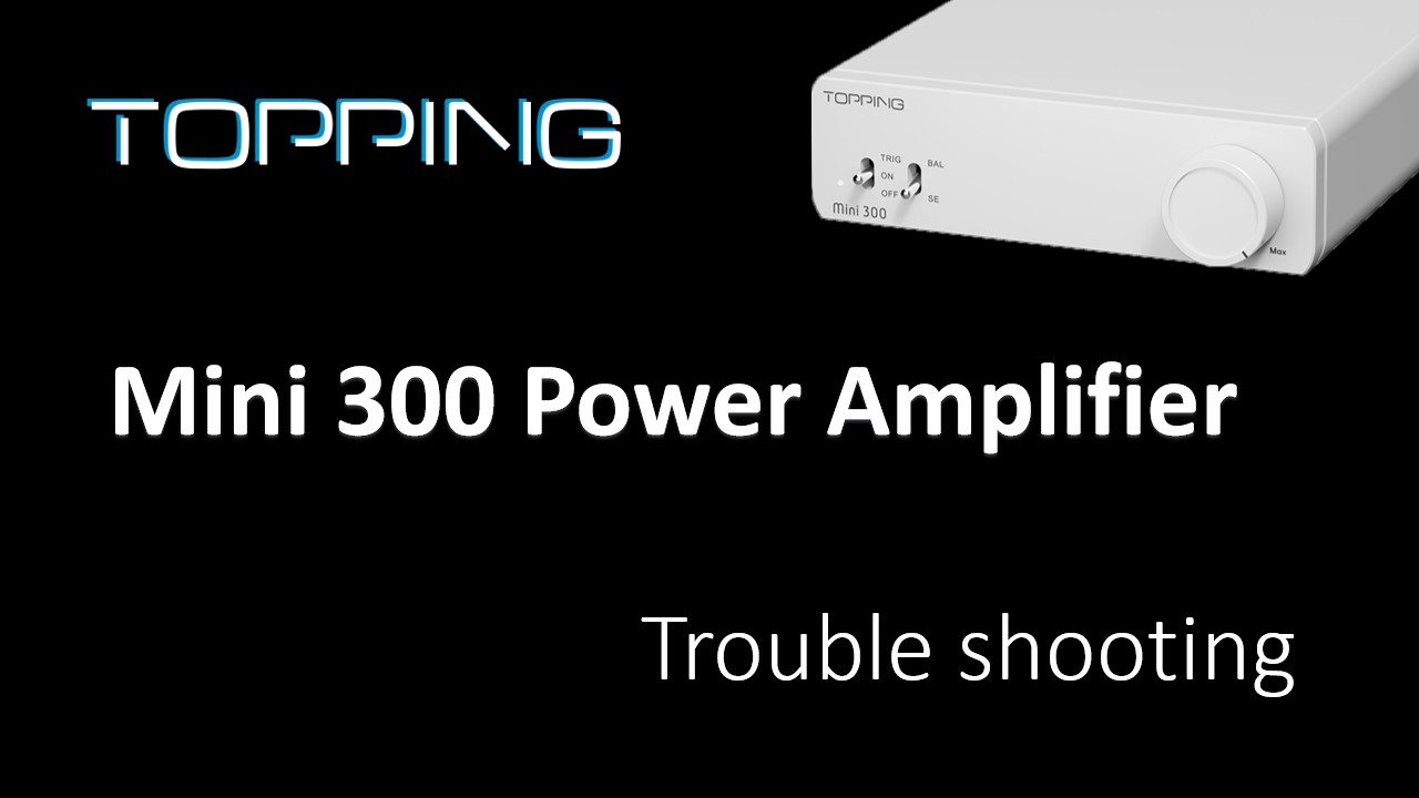 Amazon.com: Topping Mini 300 Compact Desktop Power Amplifier